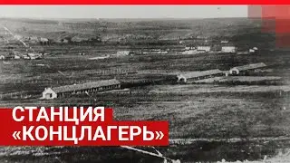 История неизвестного концлагеря под Ростовом, где замучили 7 тысяч сталинградцев | Репортаж 161.RU