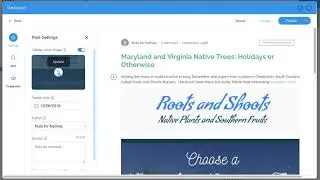 Wix Wordpress Blog Import Issues