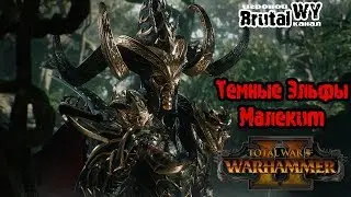 Total War: Warhammer 2 ⚔ Темные эльфы - Прохождение E1S1