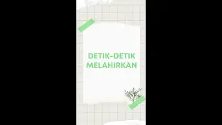 Detik-detik Ibu Hamil Melahirkan