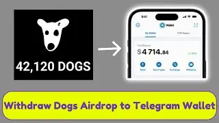 How to withdraw Dogs Airdrop to Telegram Wallet