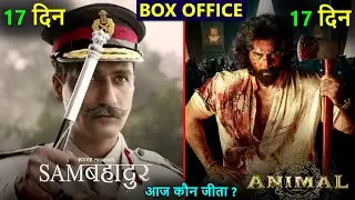 Animal box office collection, sam bahadur box office collection, ranbir, vicky kaushal, bobby deol