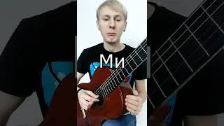 Где какие струны? 