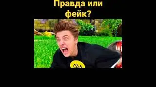 ГОРКА ПОЖИРАТЕЛЬ scp сожрала Влада а4?!Горка ПОЖИРАТЕЛЬ В РЕАЛЬНОЙ ЖИЗНИ?!