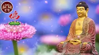 GẦN MỰC THÌ ĐEN, GẦN ĐÈN THÌ SÁNG -  CHỌN NGƯỜI MÀ CHƠI I LỜI PHẬT DẠY