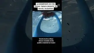 La stampante 3D del FUTURO: 