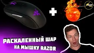 Раскаленный шар на мышку RAZOR! Эксперимент от Рашн трэш