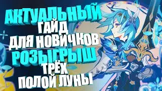 Самый актуальный гайд для новичков | Genshin Impact 3.8