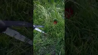 Ножницы-каталка для травы 