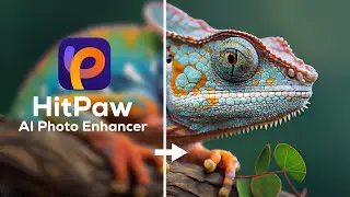 বেস্ট AI ফটো এডিটর | Enhance Low-Quality Photo to 4K with Free AI Photo Enhancer | HitPaw Photo AI