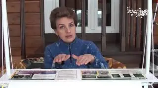 Как досвечивать рассаду  Светильник 5 урожаев ОЖЗ. Сайт 