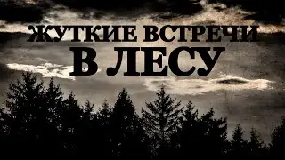 Жуткие встречи в Лесу. Страшные истории на ночь про Лес (4в1)