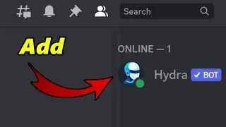 How To Add Hydra Bot To Discord Server