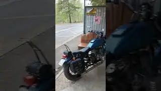 Спрятался от дождика😎