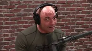 Joe Rogan Rants About Emotional Support Dogs