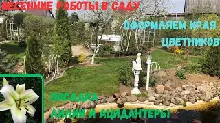 🍀Весенние работы в саду. Оформляем края цветников.💐 Посадка лилии и ацидантеры.