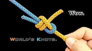 Common knots in daily life.