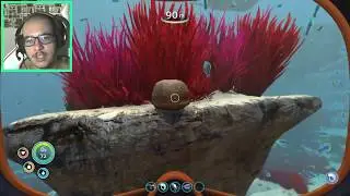 Subnautica - Como encontrar Prata, Ouro e Lead