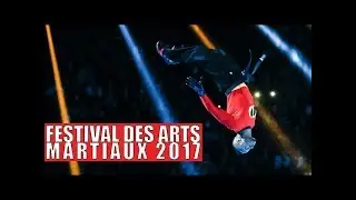 KARATE : LA FAMILLE DONA AU 32EME FESTIVAL DES ARTS MARTIAUX