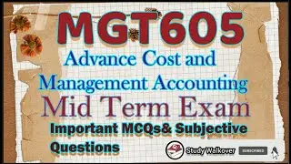 MGT605 Mid Term Exam|MGT605 Mid Term|MGT605 Mid Term Quiz|