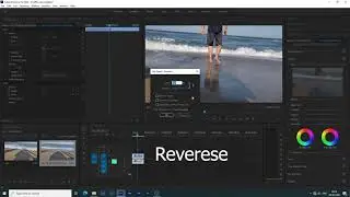 🆕how To Reverse A Video In Premiere Pro & How To Reverse Video In Premiere Pro Honest Video