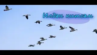 Илдән китсәм - Если покину Родину (шигырь)