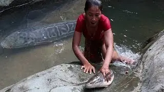 Life skills: Catch a Big fish by Hand for Food forest - Grilled Big fish for Lunch food ideas Ep 20