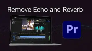 Remove Reverb and Echo in Premiere Pro