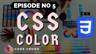 CSS Color | CSS Background Color | CSS Text Color | CSS Border Color