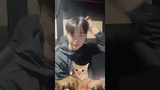 250321 조연호 인스타라이브 1
