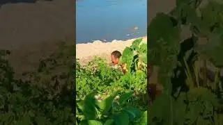 Must Amezing  Mokai Funny Video 2022.