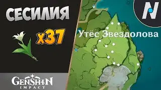 Cecilia locations. Farm 37 flowers | Genshin Impact