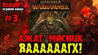 ВАААААГХ!  // Total War: Warhammer - Ажаг-Мясник №3