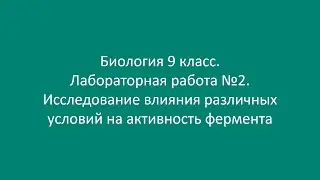 Биология 9 класс. Лаб. работа №2. Исследование влияния различных условий на активность фермента