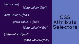 CSS Attribute Selectors Explained With Examples !
