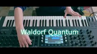 Waldorf Quantum Demo