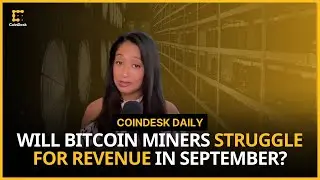 Will September Be Harder for Bitcoin Miners?; Worldcoin Faces Scrutiny in Singapore | CoinDesk Daily