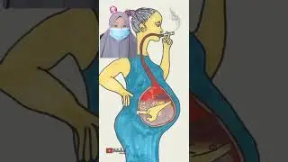 B4h4y4 Merokok Untuk Anak |Mv 