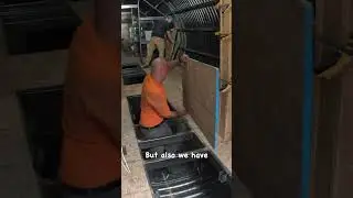 SHE WAS ALMOST IMPRESSED...