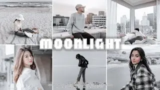 Moonlight Preset - Lightroom Mobile Presets | White Filter | Clean Preset | White Preset