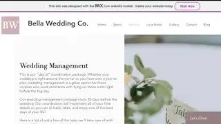 Wedding Planner Website Workbook Video