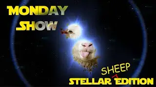 Monday Sheepskates | Chat, chill, & maybe we'll review other channels! | 8-12-2024