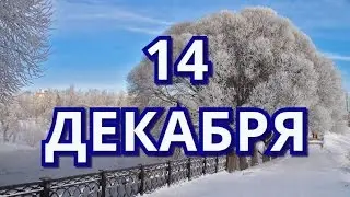 14 декабря День участников ликвидации  аварии на Чернобыльской АЭС и другие праздники