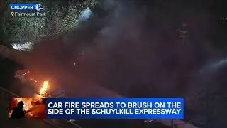 Car fire spreads to brush on the side of the Schuylkill Expressway