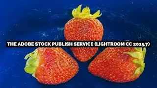 How To Use The Adobe Stock Publish Service In Adobe Photoshop Lightroom Classic