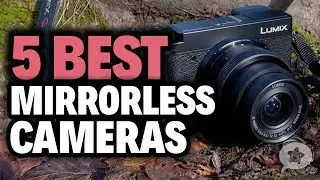 5 Best Mirrorless Cameras