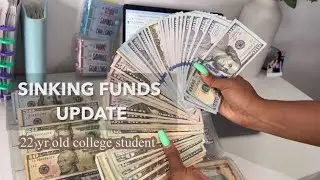 AUGUST 2024 SINKING FUNDS UPDATE | Cash envelopes | debt tracked | cash condensing