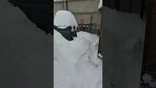 #sorts