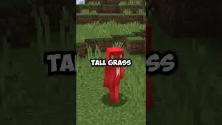 Did You Notice Minecraft's Grass Change?