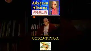 Абхазы (апсуйцы) по сей день чтят «Могилу Инала» – «Инал-куба» ● Академик М.Д. Лорткипанидзе